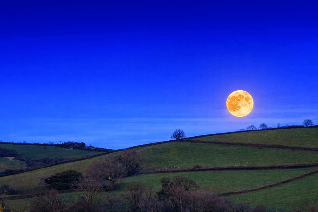 moon